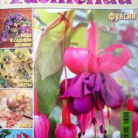 В мире растений-3 (март)-2004-Цветок славы_1.jpg