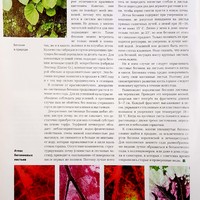 Вестник садовода-#4-апрель 2011-В горнице моей темно_4.jpg