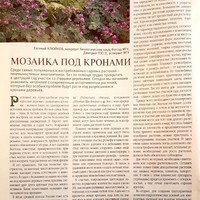 Вестник цветовода-2006-3 (47)-Мозаика под кронами_2.jpg