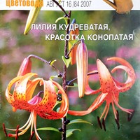 Вестник цветовода-Август 16 (84)-2007-Гидропоника глазами фитодизайнера