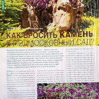 Вестник цветовода-апрель 07 (99)-2008-Как бросить камень в подмосковный сад_2.jpg
