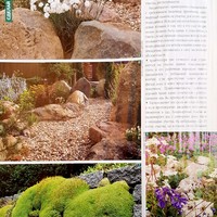 Вестник цветовода-апрель 07 (99)-2008-Как бросить камень в подмосковный сад_4.jpg