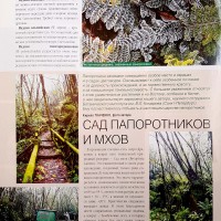 Вестник цветовода-июль-14(82)-2007-Стенки и горки для папоротников_6.jpg
