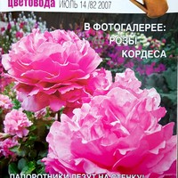 Вестник цветовода-июль-14(82)-2007-Стенки и горки для папоротников