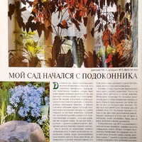 Вестник цветовода-июнь 2005-6 (34)-В поисках райского сада-Мой сад начался с подоконника_2.jpg