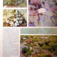 Вестник цветовода-июнь 2005-6 (34)-В поисках райского сада-Мой сад начался с подоконника_3.jpg