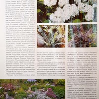 Вестник цветовода-июнь 2005-6 (34)-В поисках райского сада-Мой сад начался с подоконника_4.jpg