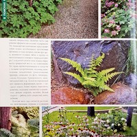 Вестник цветовода-май 09(125)-2009-В поисках райского сада-Совершеннолетие сада_4.jpg