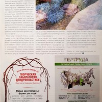 Вестник цветовода-май 09(125)-2009-В поисках райского сада-Совершеннолетие сада_5.jpg