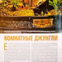Вестник цветовода-январь-01(153)-2011-Комнатные джунгли_2.jpg