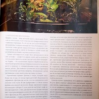Вестник цветовода-январь-01(153)-2011-Комнатные джунгли_5.jpg